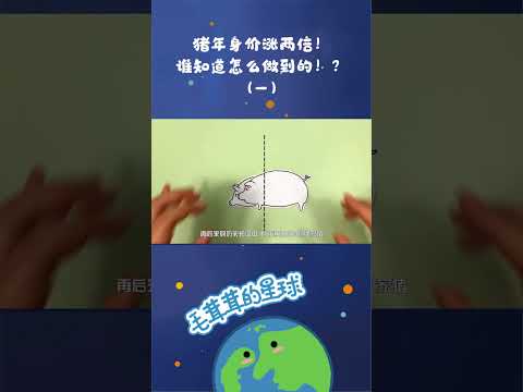 猪年身价涨两倍！谁知道怎么做到的！？ #脑洞大开 #创意 #猪 #动画片 #轻漫计划【毛茸茸的星球】