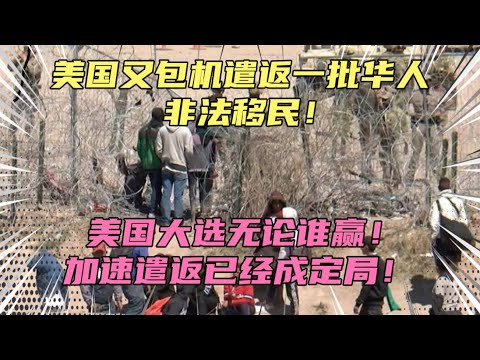 美国又包机遣返一批华人非法移民！无论大选谁获胜，美国驱逐非法移民已成定局！