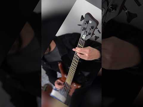 Death - Symbolic [VERSE V] 9/9 #bass #cover #death