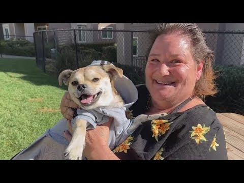 Rescue dog becomes lifeline for San Diego woman battling depression