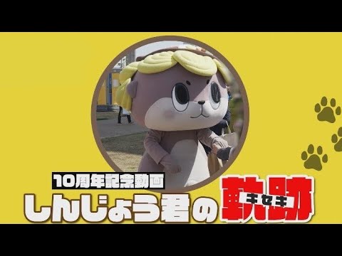 しんじょう君の軌跡 【 しんじょう君10周年記念 】