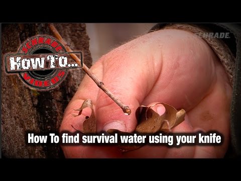 How To Obtain Survival Water Using Your Knife