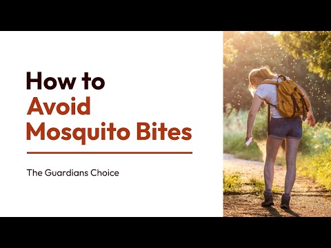 Mosquito Bite Defense: How to Prevent Mosquito Bites Using Simple Techniques