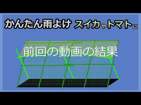 【簡単雨よけ 対策の結果発表〜‼️】スイカやトマトに 家庭菜園30年目