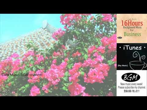 【CAFE MUSIC】OKINAWA's Music Cover   Relaxing Music   Background Music