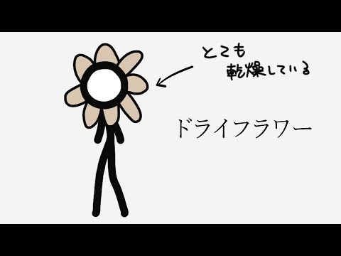 ドライフラワー / 293Project【歌ってみた】