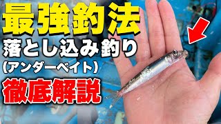 【落とし込み釣り】アンダーベイトを徹底解説。この小魚で青物と真鯛がボコボコに釣れます！！！！　#栄真丸　#淡路島