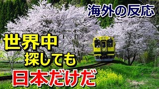 【海外の反応】「日本を愛するはずだよ」日本の車窓風景がおとぎの世界のようだと海外感動～グレイトにっぽん！