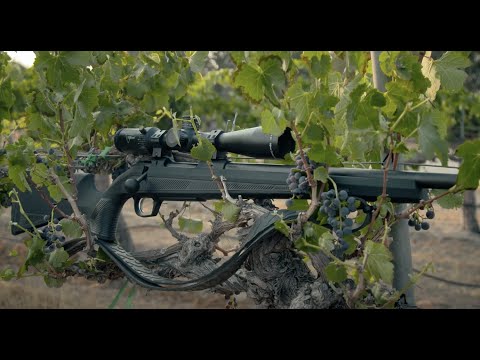 Petersen's Hunting with CZ 600 Series Rifle | Episode 2