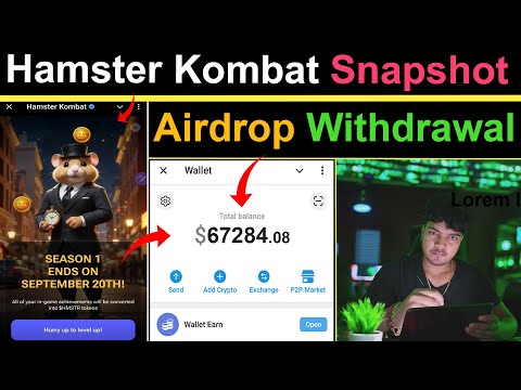 Hamster Kombat Snapshot ✅ | Hamster Kombat Season 1 End on September 20th | Hamster Kombat Airdrop