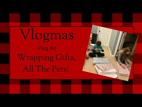 Vlogmas Day 18 | Vlog 6 | Pets, Presents, and a Bad Weather Day | Dec 12-15 #vlogmas