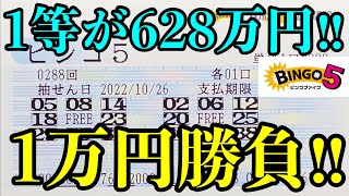 【宝くじ当選！】ビンゴ５を１万円分(５０口)購入して勝負しました！！