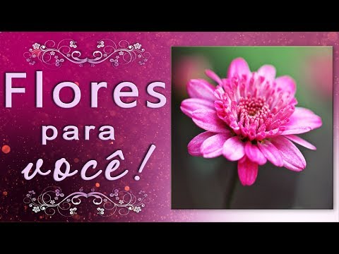 🌺🌺🌺 Flores para você! BOM DIA! 🌺🌺🌺Belíssima Música📲 Vídeo para WhatsApp📲