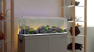 Serene LED Aquascape: Greening at Aquarium Design Group