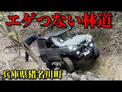 兵庫県のエゲつない林道【ガリガリ山・兵庫県猪名川町】