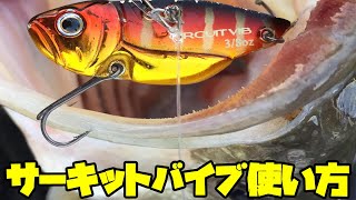 デプスサーキットバイブの使い方！アクション方法、重さの使い分け、アイの位置について