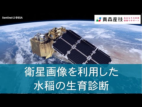 衛星画像を利用した水稲の生育診断 AS31【農林総合研究所】