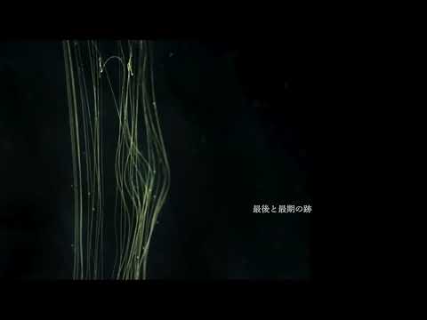 Lily_native / 裏世界【VOCALOID + TuneLabカバー】