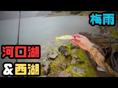 【晴れのち雨】梅雨の河口湖＆西湖でおかっぱりバス釣り【字幕】