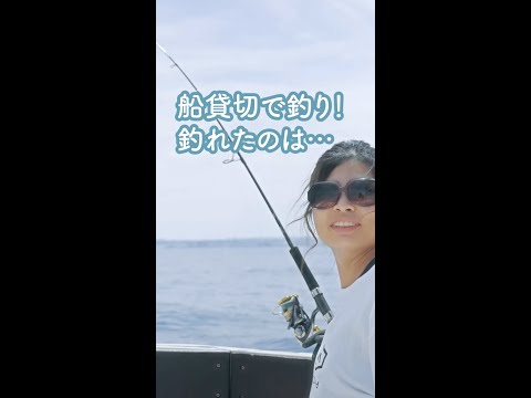 船貸切で釣り！マグロ狙ってたのに…！#沖縄 #海 #shorts #釣り