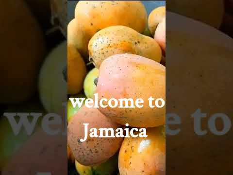 Jamaica 🇯🇲 The Most Fruitful Country in the Caribbean #food #Jamaica