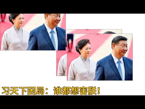 （20241203第355期）家天下的未来｜黑箱政治消息源｜给付鹏热降降温｜日本没有失去30年｜哪些人适合移民美国｜