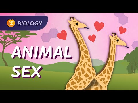 Sexual & Asexual Reproduction: How Animals Do It: Crash Course Biology #47