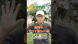 家庭菜園や農園の夏野菜栽培で8月後半の重要作業！秋冬野菜栽培へ切り替えのコツと夏野菜の育て方！【農家直伝】#shorts