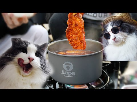 和猫一起海边野餐吃火锅可还行？Hotpot at beach with cat！