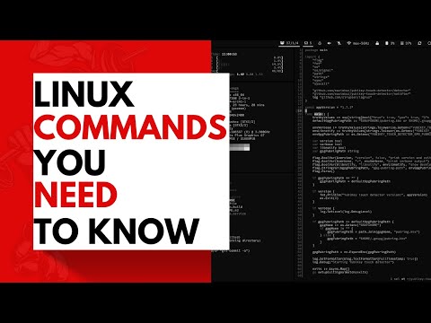 Linux Terminal Commands EVERYONE Should Know