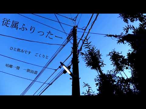 (字幕)koyori(電ポルP)『従属ふりったー』feat. 初音ミク 中日歌詞