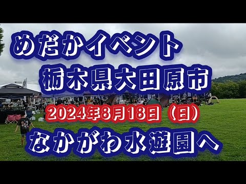 めだかマルシェイベント🐟栃木県大田原市なかがわ水遊園へ #メダカ #めだか #めだかイベント #メダカイベント #メダカ屋 #めだか販売 #めだか即売会 #栃木メダカ #なかがわ水遊園