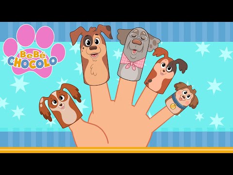 LA FAMILIA DEDOS DE BEBÉ  CHOCOLO 🐾 |  CANCIONES INFANTILES / MÚSICA PARA BEBÉS 🍼