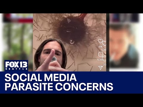 Social media post sparks parasite concerns | FOX 13 Seattle