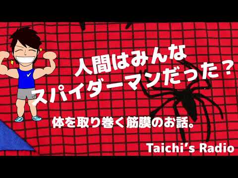 人間はみんなスパイダーマンだった！！？？体を取り巻く筋膜のお話【Taichi's Radio】