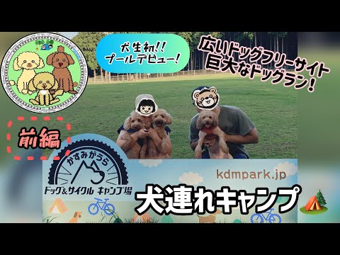 犬連れキャンプ❗️犬生初のプールデビュー😆❣️