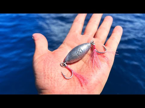 五目釣りはオモリと針で高級魚入れ食い