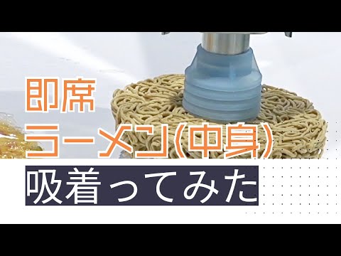 【吸着ってみた】即席ラーメン(中身)【コンバム】