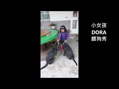 小女孩DORA餵狗