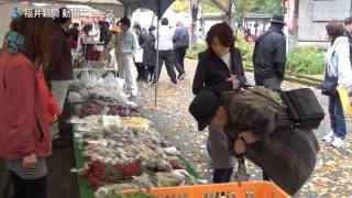 九頭竜紅葉まつり開幕