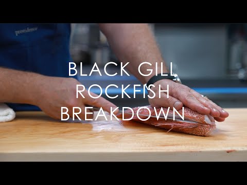 How to fillet a Rockfish | by star chef Michael Cimarusti