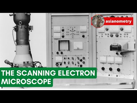 The Difficult Birth of the Scanning Electron Microscope