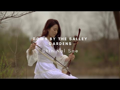 [1HR, Repeat] Down by the Salley Gardens l HaeGum Play