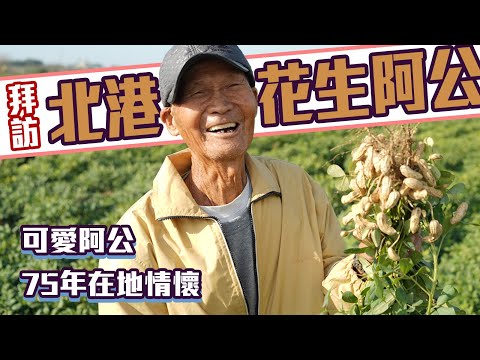 【尋農高手】拜訪北港花生阿公，一探花生烘烤流程！【ft.我爸種的】