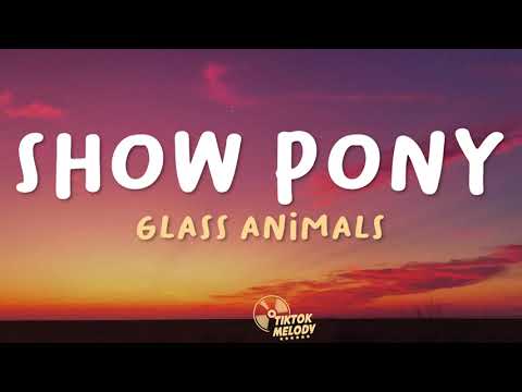 Glass Animals - Show Pony (Lyrics)