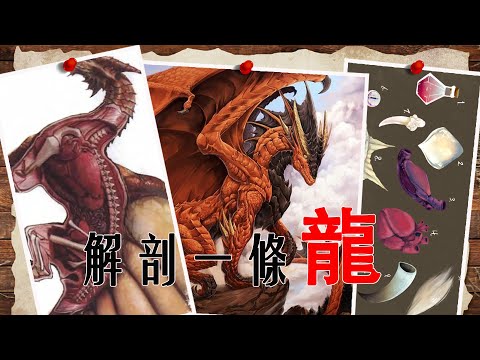 【DND怪物誌】揭秘真龍的身體構造，探尋吐息、飛行、魔法、智慧的真相。