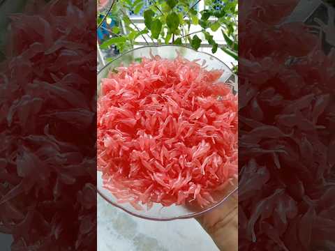 Fresh Pomelo Fruit Cutting l How to Cut Pomelo easily l Part 2 l #shorts #shortsfeed #fruitcutting