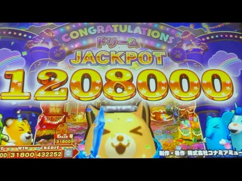 [アニマロッタ]ドリームJACKPOT 1208000WIN