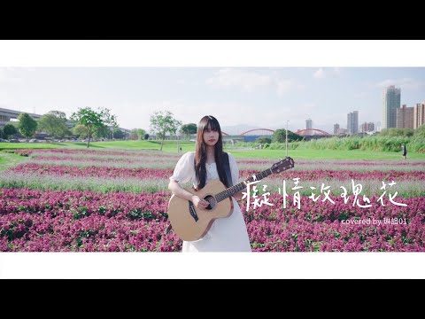 琳誼01 cover［UNDER LOVER ft 玖壹壹春風 癡情玫瑰花］