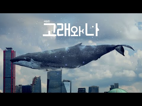 [극장판 예고] 지구의 SOS, 고래의 노래를 들어라! | 고래와 나 극장판